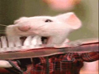 Hüsenkadan müzik show,Yılın klibi,Yılın müziği