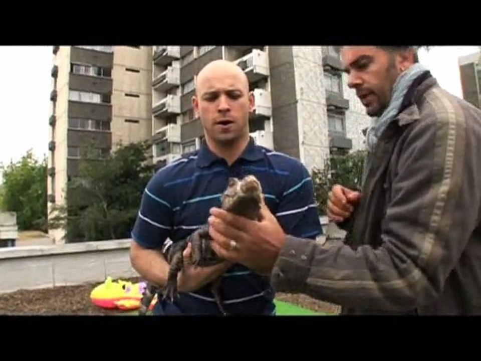 Kaira Shopping - en DVD le 24 nov - Making of de OUF!