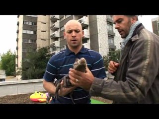 Kaira Shopping - en DVD le 24 nov - Making of de OUF!