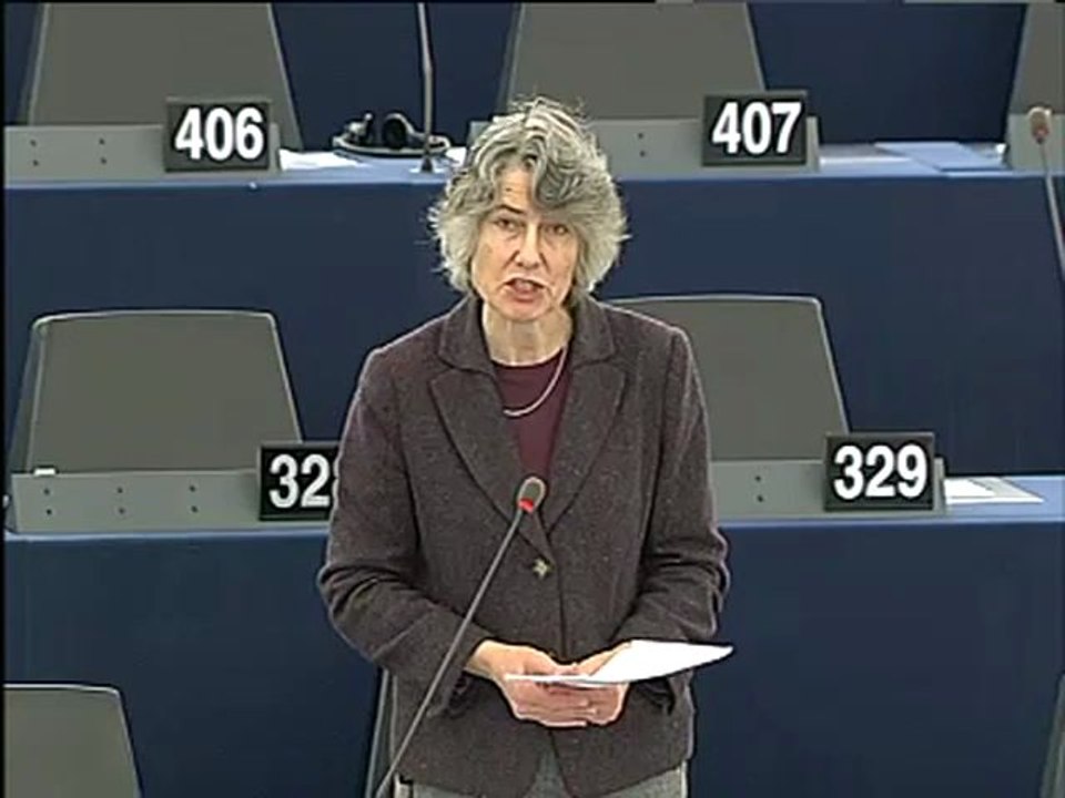 Fiona Hall on Copenhagen summit on climate change