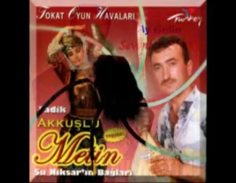 Akkuslu Metin - Altin Disler