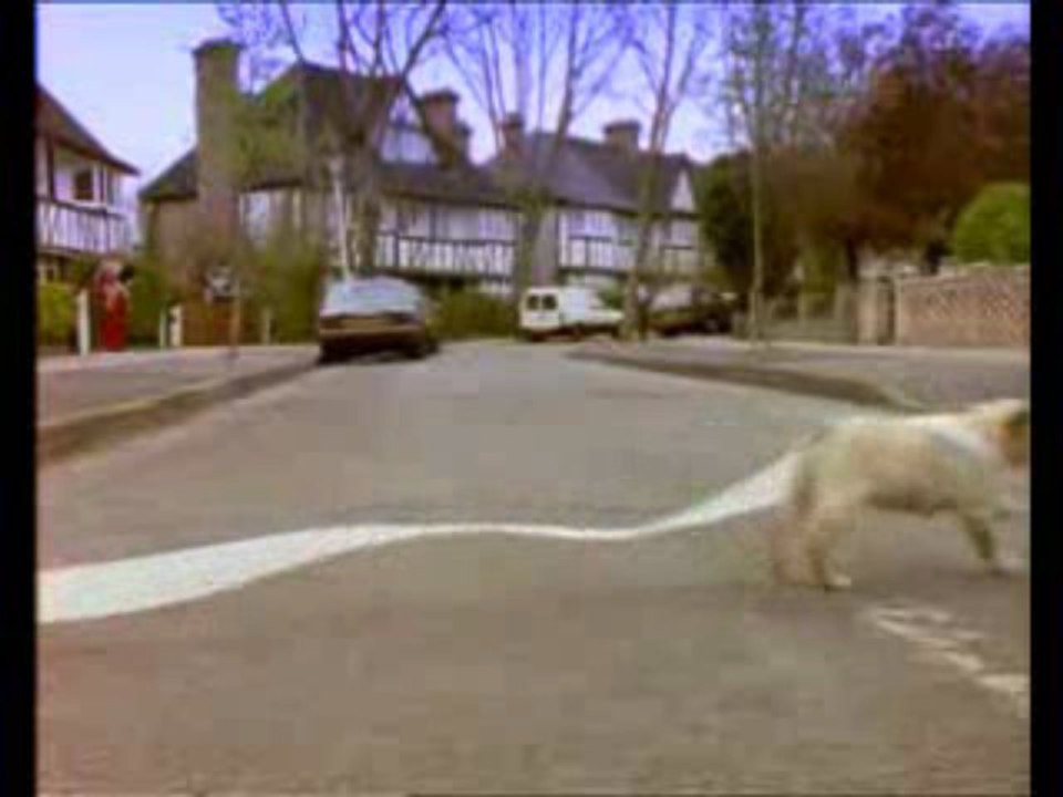 Gentil petit chien chien !