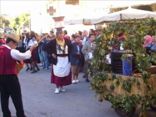 50°edizione festa dell'uva Mosciano S.angelo (TE)
