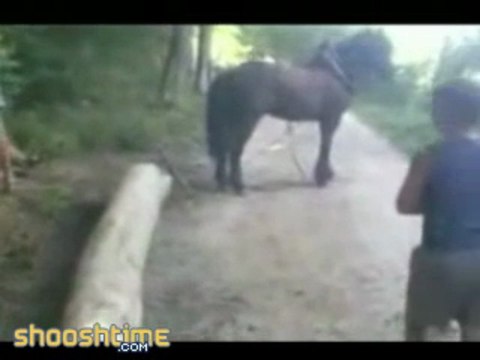 Le direct de la patte d'un cheval ! Prends ça!