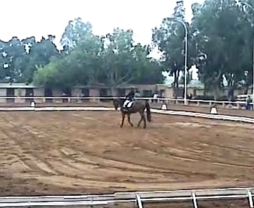 equitation !reprise libre en musique avec mon ti lili<3