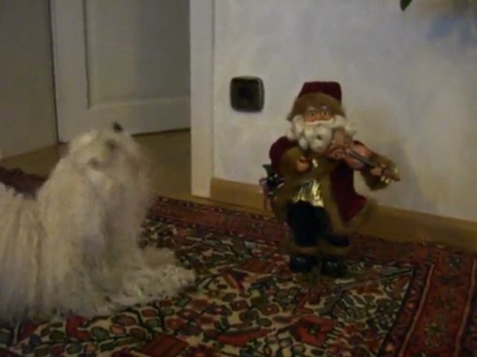 WeihnachtsliedFussel