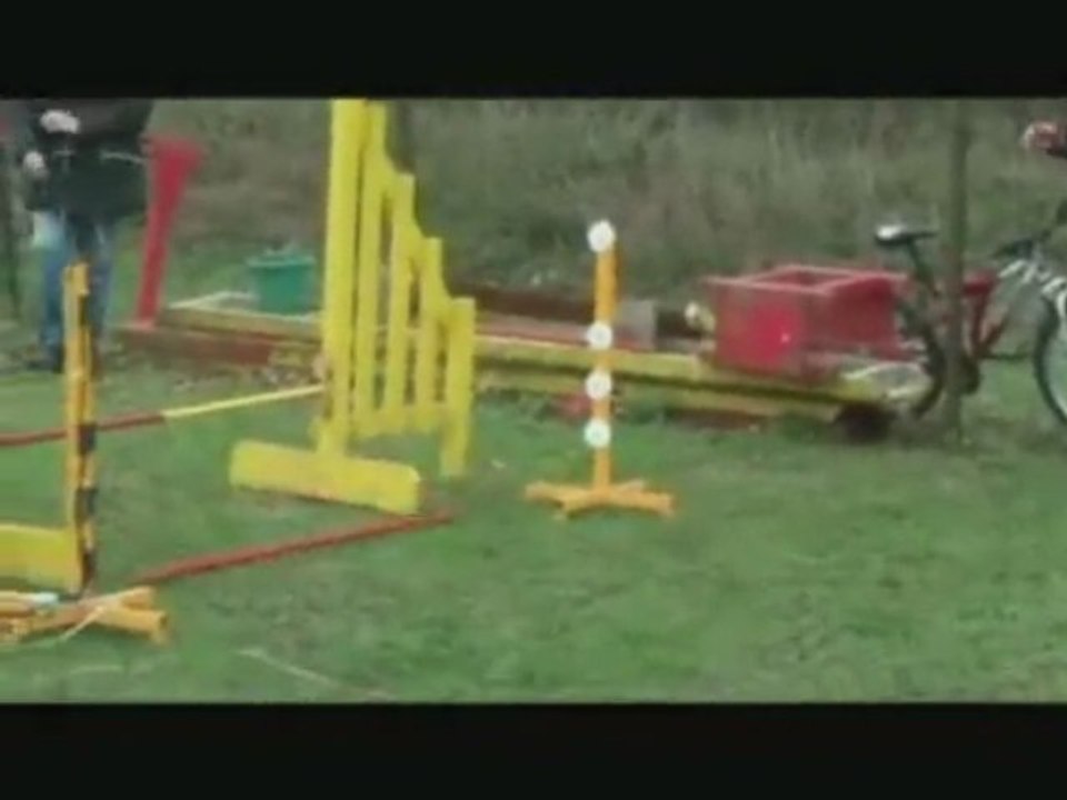 Chaos-Concours agility-04/09-Mastaing