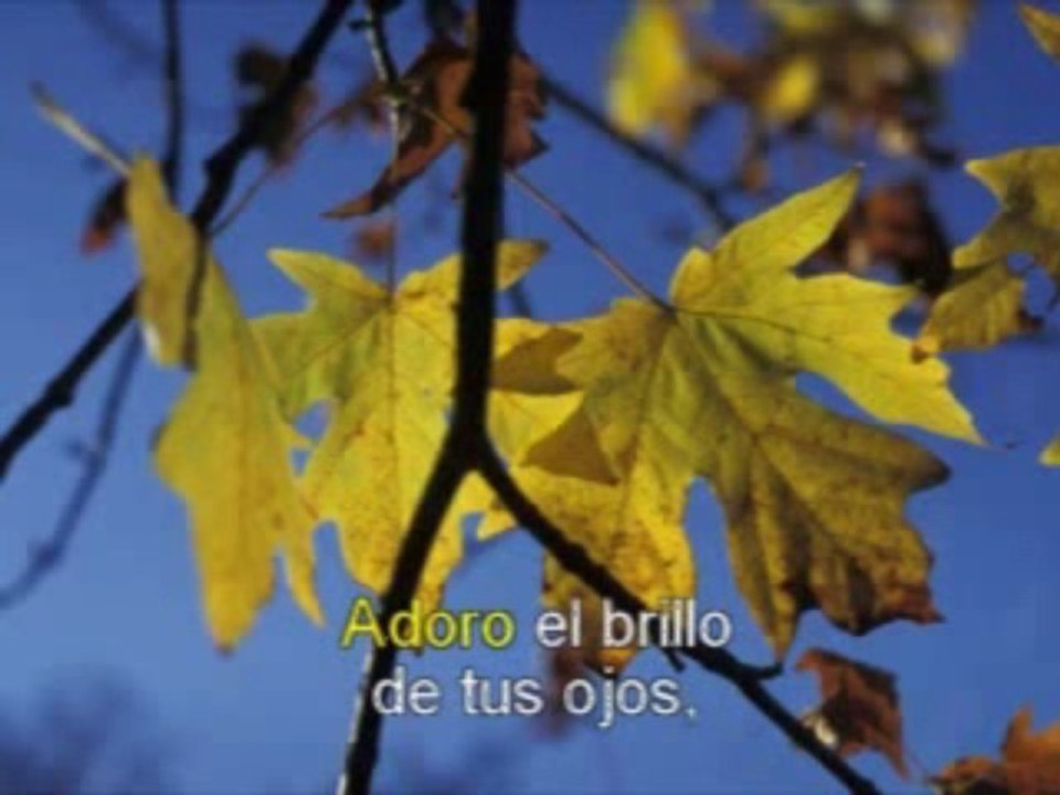 Adoro -Musica Romantica