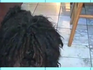 Crazy Hairy Doggies! - Animal Idol 011