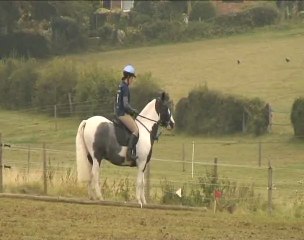 Trec, a sport for all! (TRAILER)