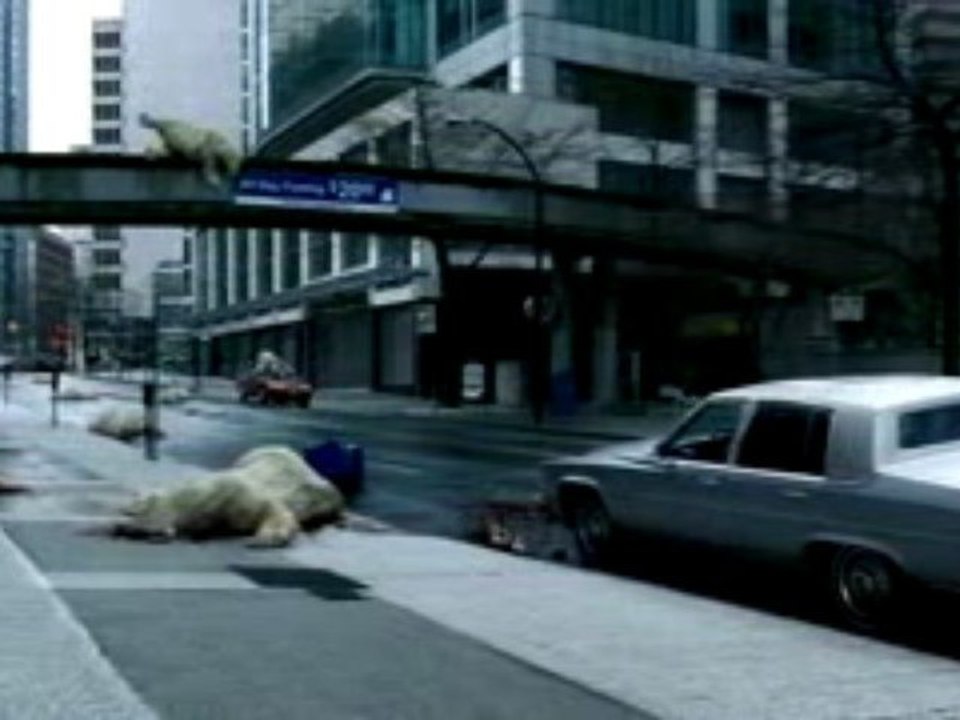 Des ours tombent du ciel