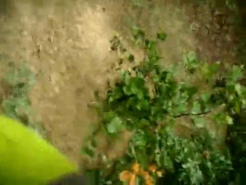 Rando quad sud du 23 nov 24009 n°6