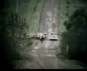 Tosun ile Yabancı Damat