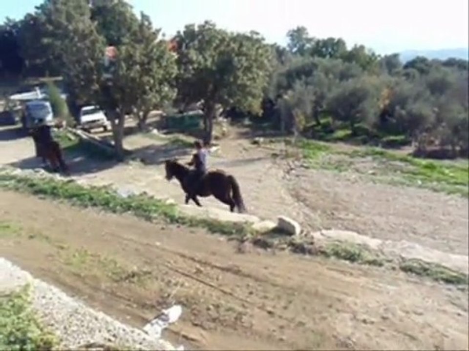 ΜΗΛΙΕΣ ΡΑΝΤΣΟ ΤΟΥΜΠΑ