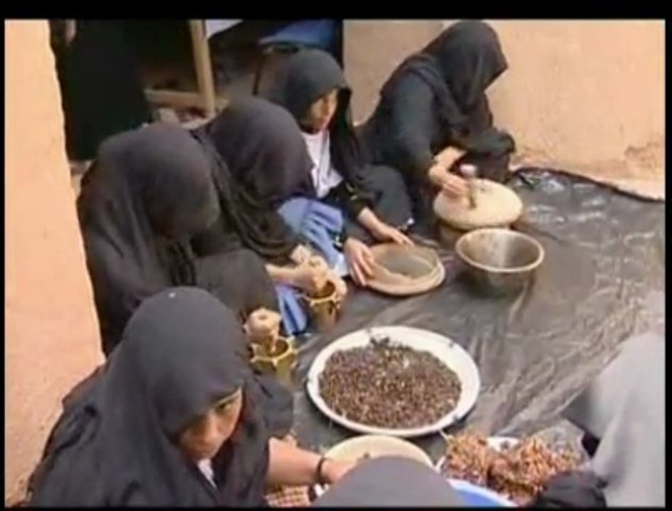 التمر إلى قهوة بدون مادة الكافيين المغرب