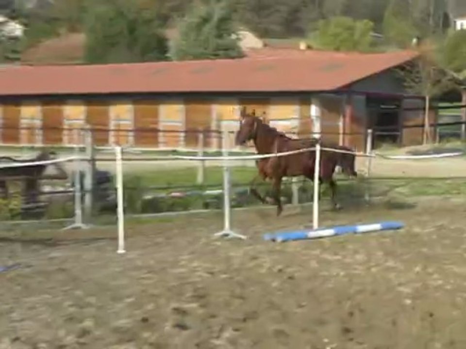 Fausteen du Pécos - oxer 3