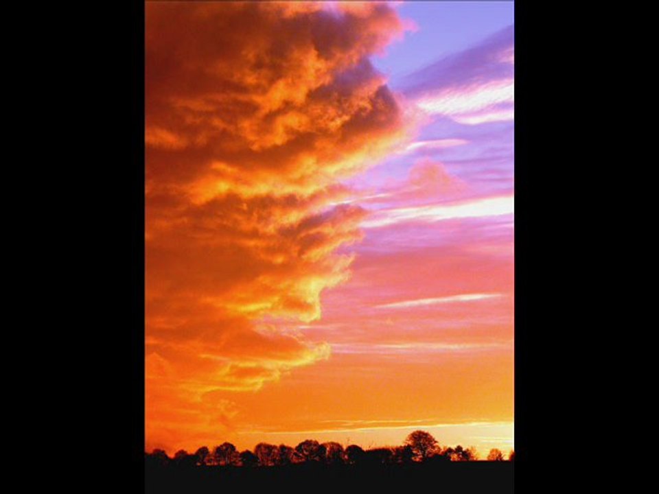 All Your S**t by BB BlackDog