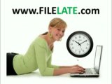 Be your own accountant: File 2003 taxes online