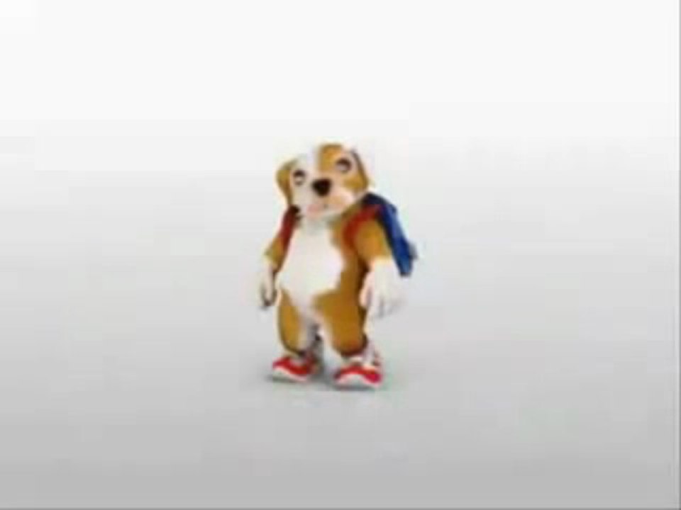 Cachorro dancando