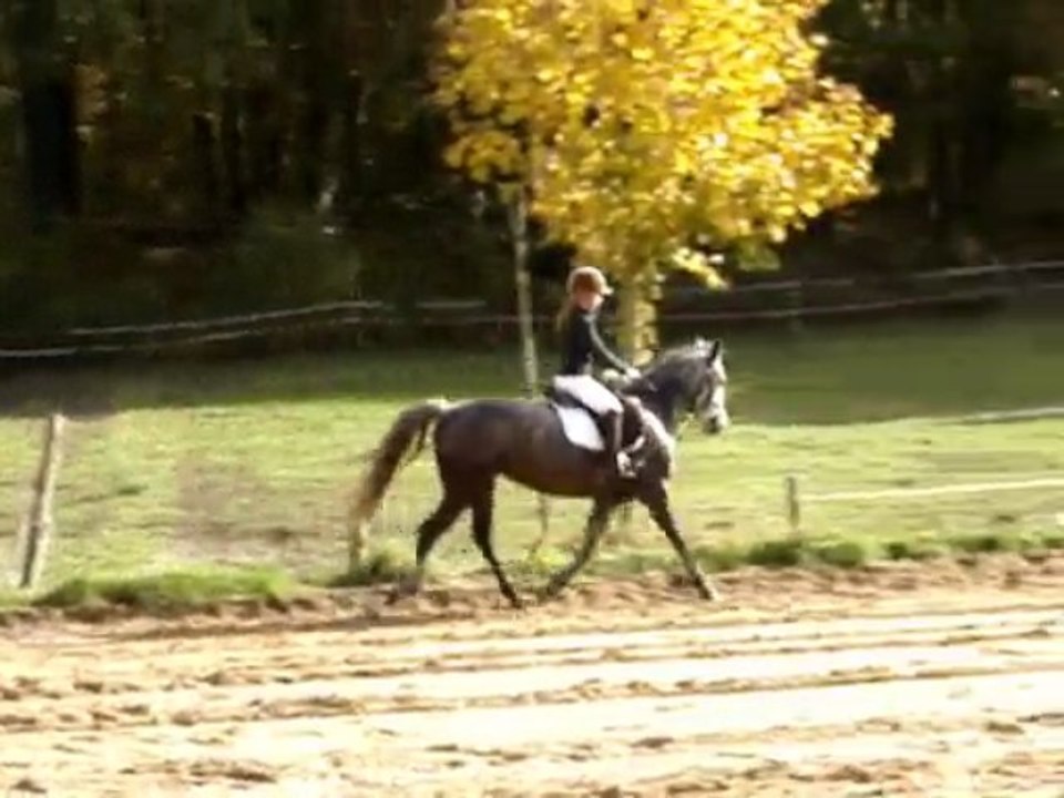 ELLE & MOI