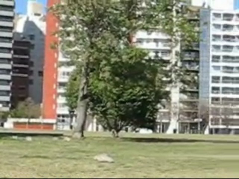 La vuelta de Martin - Radio Amanatar