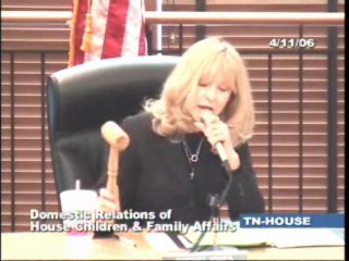 Hearings on Kelsey Adoption Bills - Clip 1