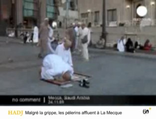 60" : Pèlerin, pékin moyen et bohémien