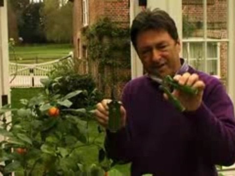 Alan Titchmarsh - Mini Pruning Set - Gardeners Heaven