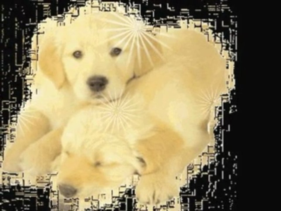 Nigdy Nie Mów Nigdy