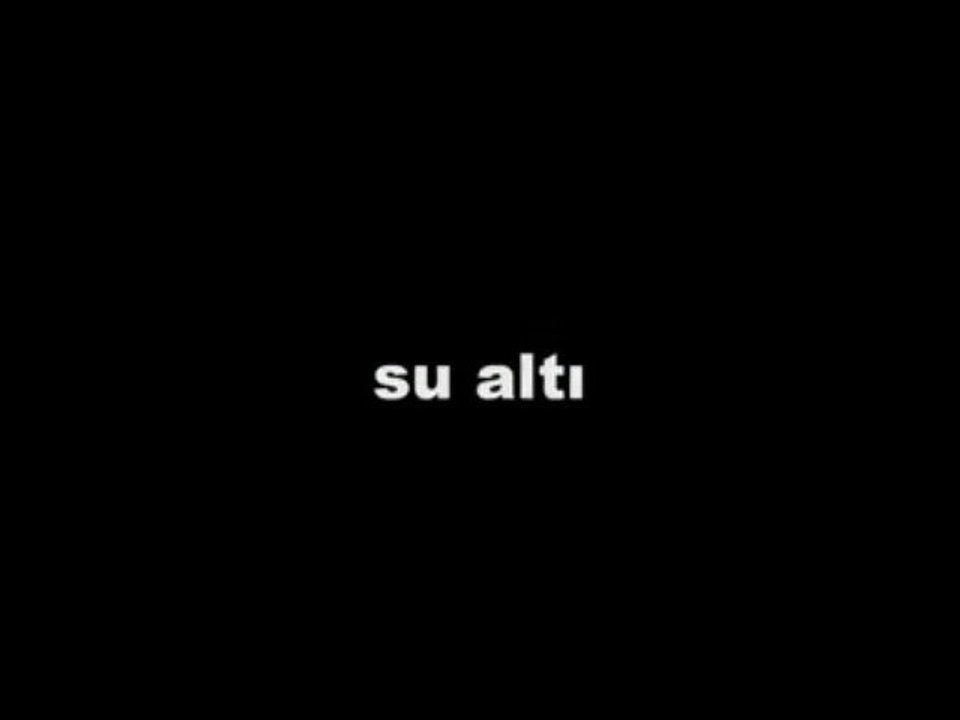 su6