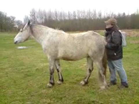 c'est bon les gratouilles !