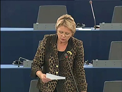 Siiri Oviir on Explanations of vote