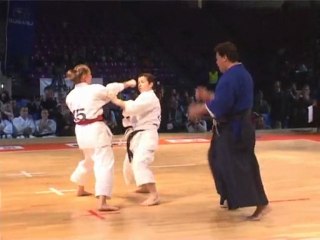 COUPE DU MOND ITKF 2007 El marhomy   traditional karate 2