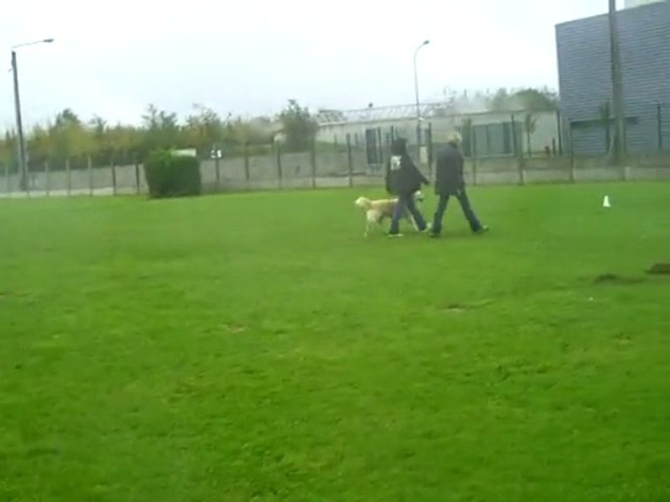 vodka au brevet d'obéissance La Madeleine le 24/1O/2OO9