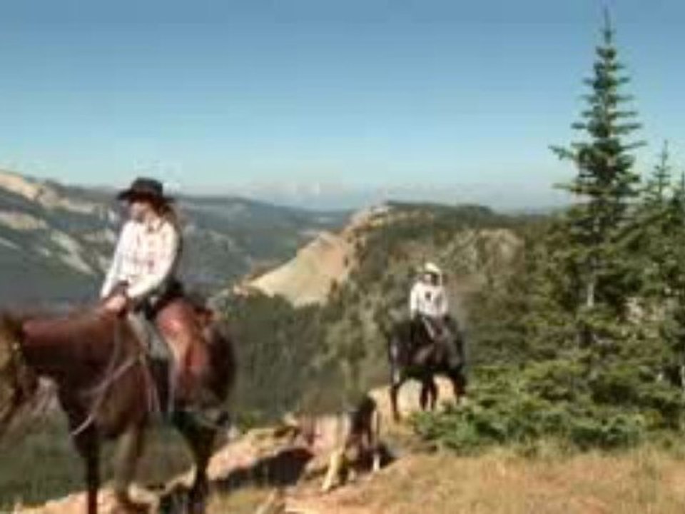 Jackson Hole Horseback Riding