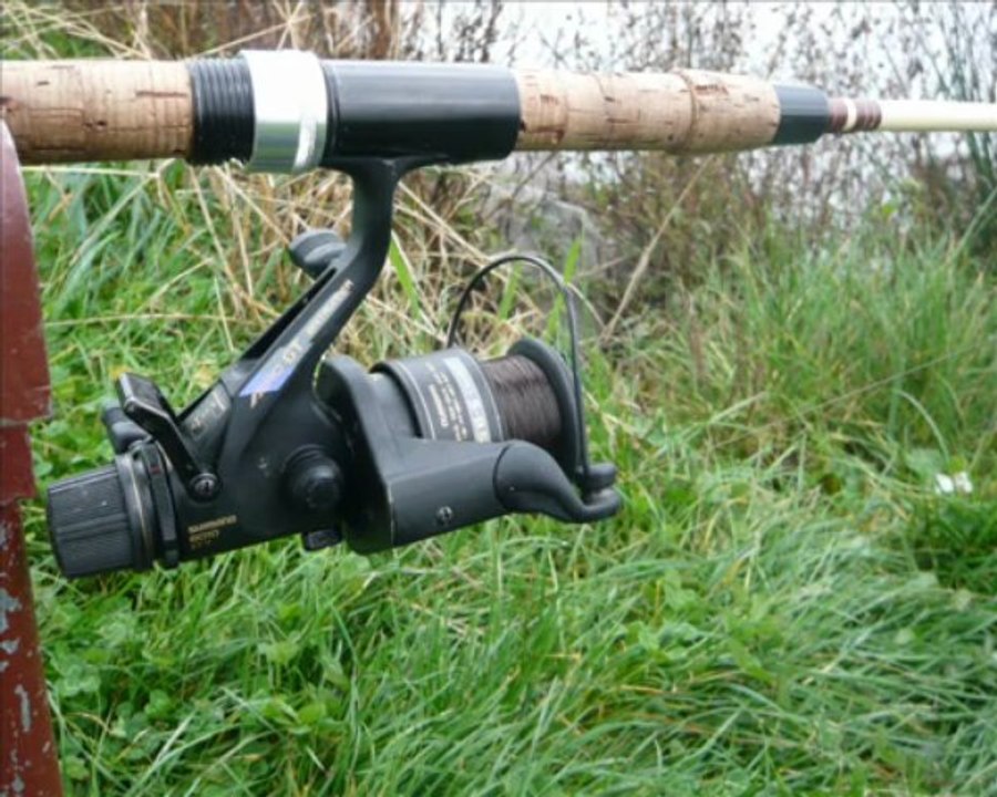 Peche de la carpe
