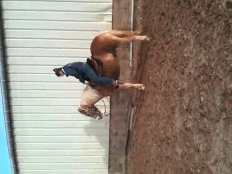 départ au galop, stop et petit reculé