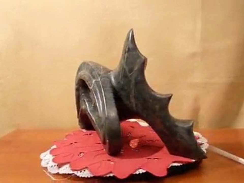 Pudeur