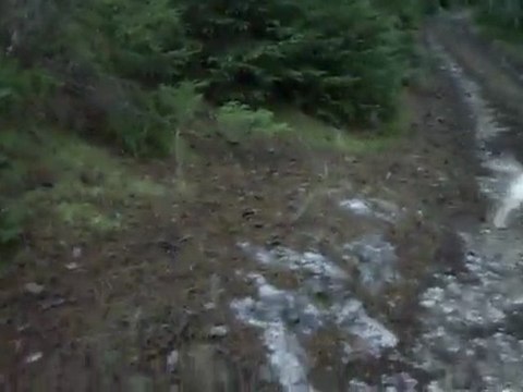 Sortie du 25/11/09 au LD La Baume 2eme partie 1er défault