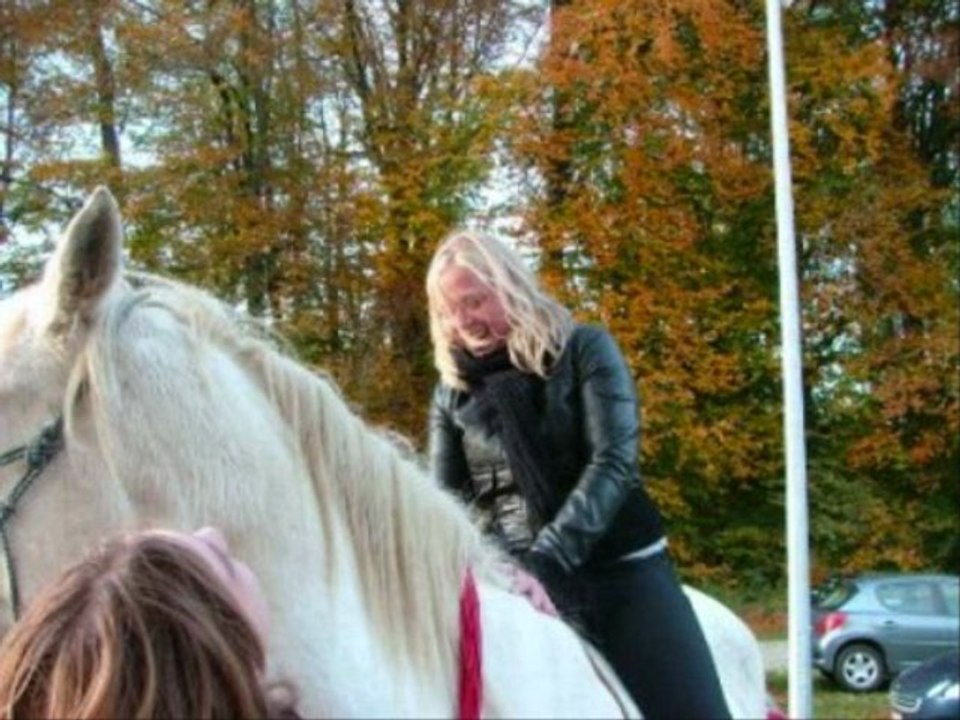 nouveaux cavaliers ...