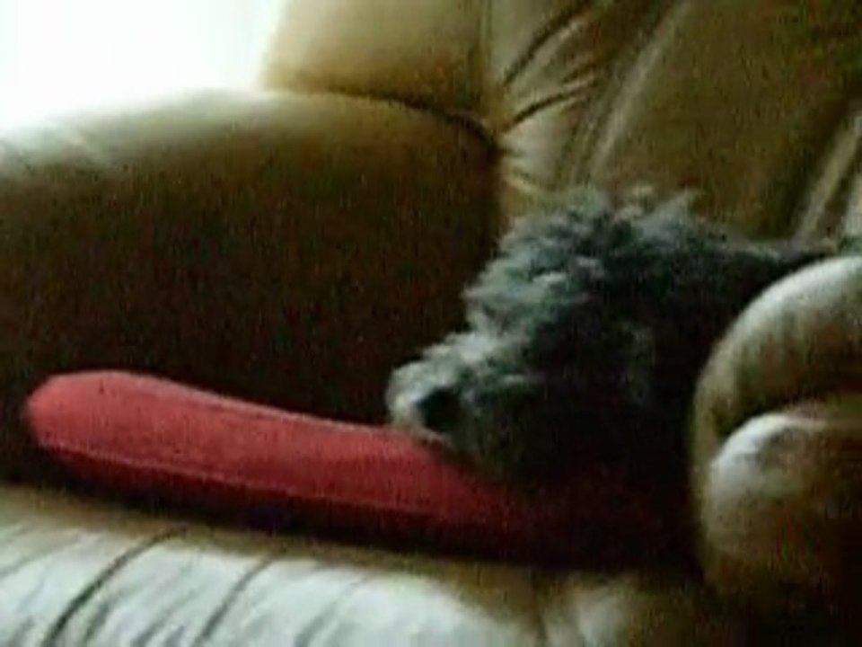 APRES LE JEU, LE REPOS