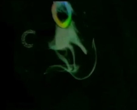 canal+/ canal Gainsbarre et MIXE AUDIO tout neuf