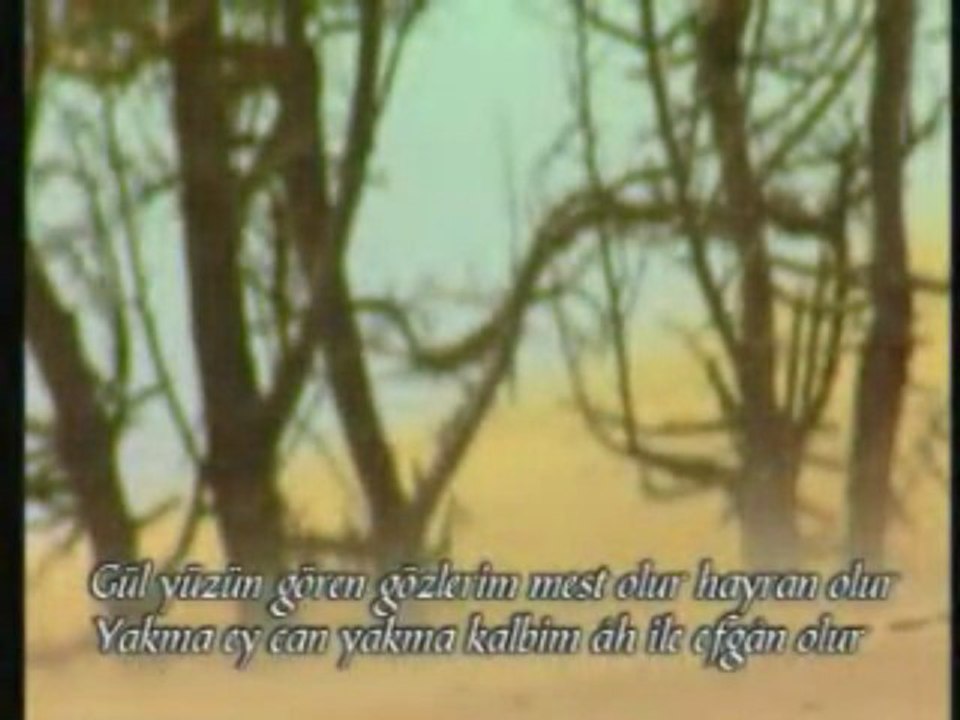 güller