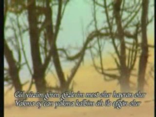 Güller ve İlahi Şiirleri