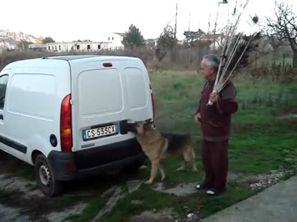 PASTORE TEDESCO CHE APRE LA PORTIERA E SALE IN AUTO