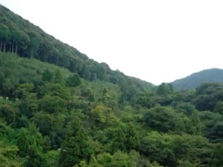 Voyage Japon Tokyo (12)