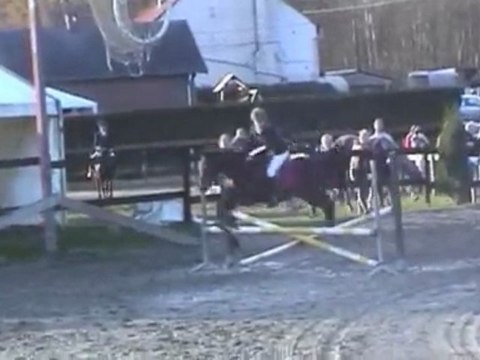 obstacle pur sang arabe 24 11 2009 2èm part