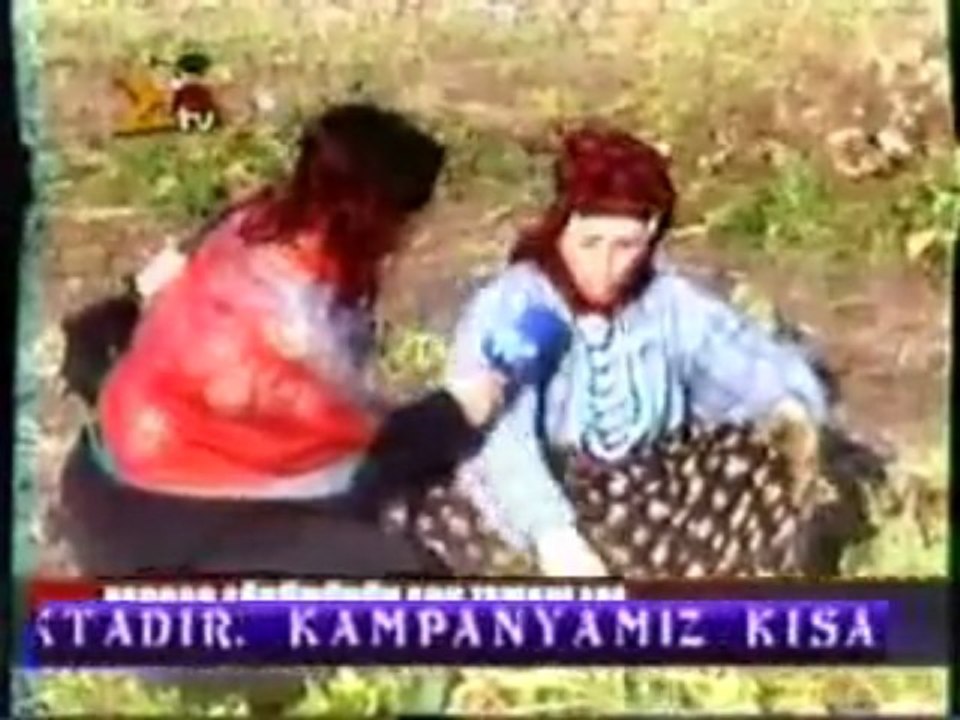 pancar sökümünün son zamanları