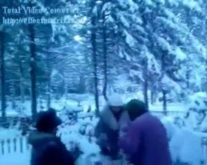 Семейная история Новгородских