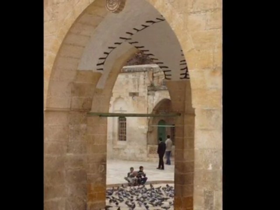 ''HIŞ HIŞI HANÇER BOYNUMA''